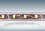 LED Водоустойчива Лента IP 67 -  60 бр/м